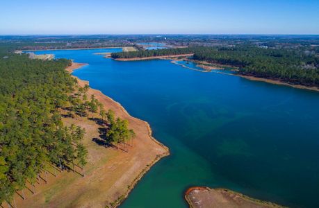 Jasmine Point at Lakes of Cane Bay by Beazer Homes in Summerville - photo 7 7