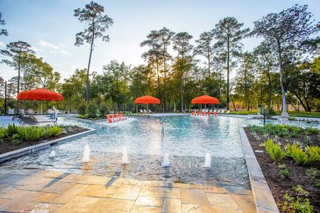 Grand Central Park 55' Homesites by David Weekley Homes in Conroe - photo 9 9