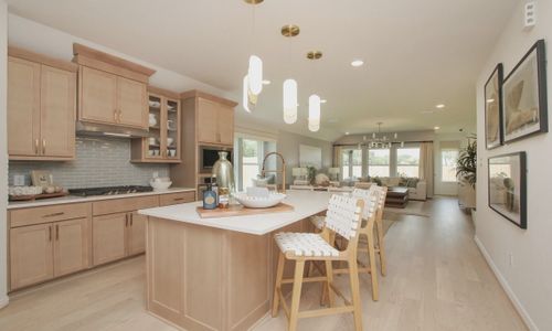 Ellis Cove by Brightland Homes in Seabrook - photo 5 5