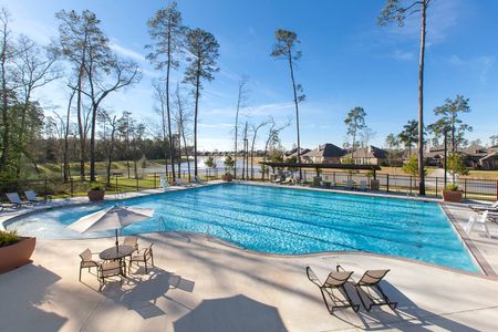 The Meadows at Imperial Oaks 40' - Section 20 by Coventry Homes in Conroe - photo 2 2