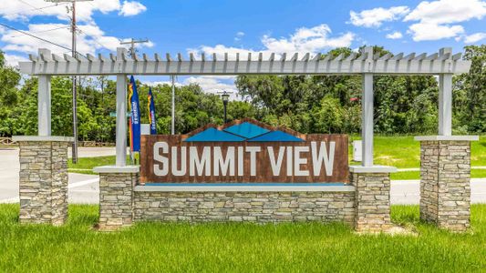 Summit View by D.R. Horton in Dade City - photo