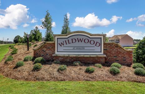 Wildwood at Avalon by Centex in Mcdonough - photo 1 1