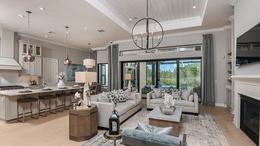 Esplanade at Wiregrass Ranch by Taylor Morrison in Wesley Chapel - photo 47 47