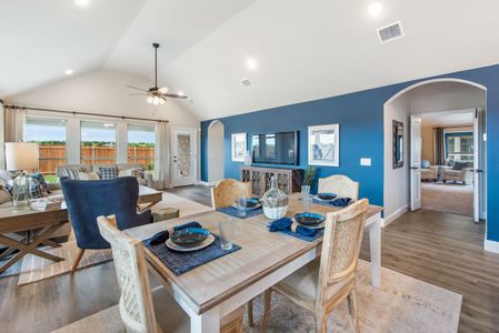 Arcadia Trails by Bloomfield Homes in Balch Springs - photo 10 10