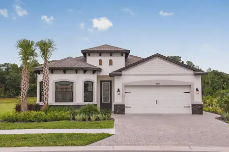 Rose Haven by Vitale Homes in New Port Richey - photo 0 0