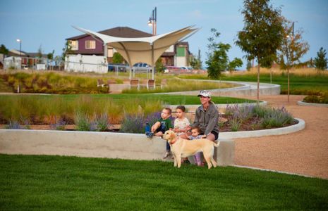 A dog park featuring separate enclosed off-leash areas for both large and small dogs.