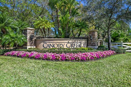 Canopy Creek by Kolter Homes in Palm City - photo 3 3