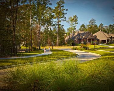 Woodforest 40' - The Crest by Perry Homes in Montgomery - photo 1 1