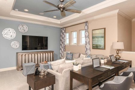 Eave's Bend at Artisan Lakes by Taylor Morrison in Palmetto - photo 55 55
