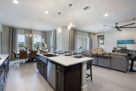 Summerdale Park at Lake Nona by Dream Finders Homes in Orlando - photo 22 22