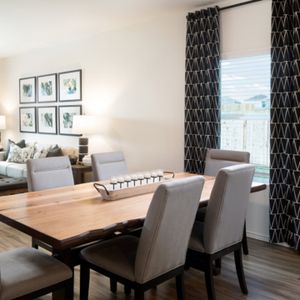 Elm Creek: 45' Watermill Collection by Lennar in Elgin - photo 8 8