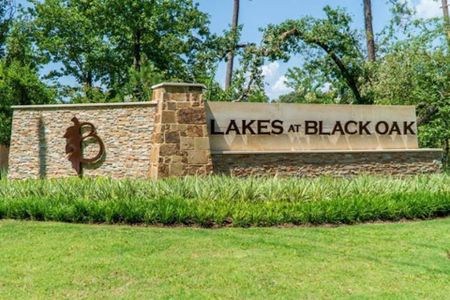 Lakes at Black Oak by Century Communities in Magnolia - photo 6 6