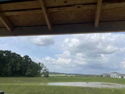 Summit View by D.R. Horton in Dade City - photo 20 20