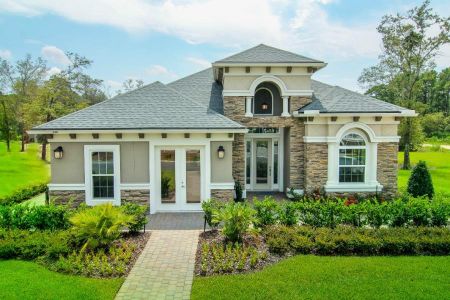 Forest Park at Wildlight by Riverside Homes in Yulee - photo 10 10