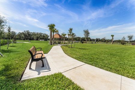 Harmony at Lake Eloise by D.R. Horton in Winter Haven - photo 6