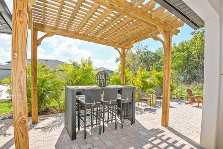 Tea Olive Terrace at the Fairways by William Ryan Homes in Palmetto - photo 11 11