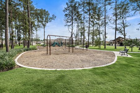 Maple Heights by Century Communities in Porter Heights - photo 65 65