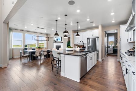 Trailstone Destination Collection by Taylor Morrison in Arvada - photo 137 137
