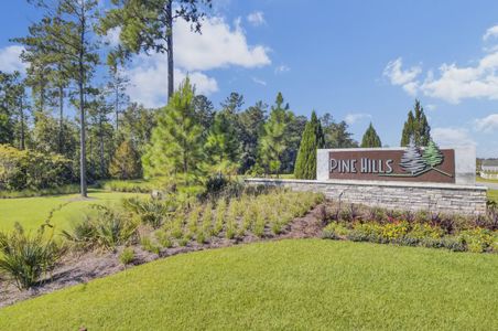 Pine Hills by D.R. Horton in Summerville - photo