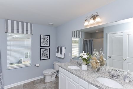 Petterson Meadows by Mungo Homes in Summerville - photo 80 80