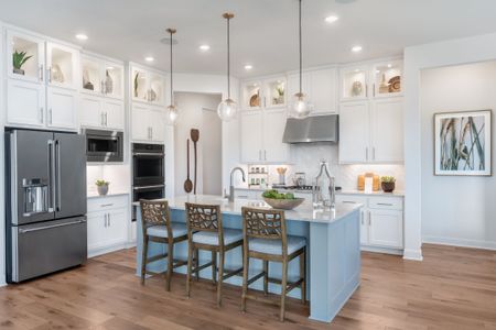 Travisso - Naples Collection by Taylor Morrison in Leander - photo 44 44