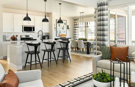 The Town Collection at Independence by Taylor Morrison in Elizabeth - photo 113 113