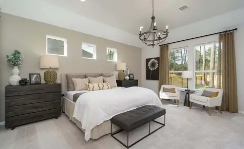 The Woodlands Hills by Brightland Homes in Willis - photo 39 39