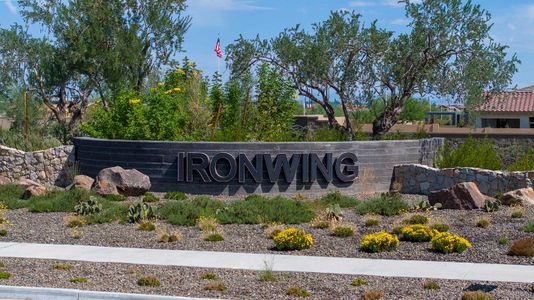 IronWing at Windrose by David Weekley Homes in Litchfield Park - photo 10 10