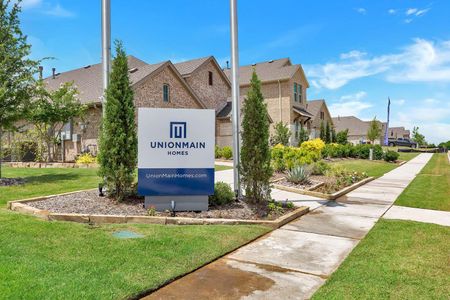 Woodland Creek by UnionMain Homes in Lavon - photo 4 4