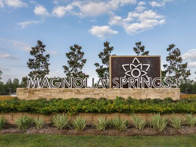 Magnolia Springs by CastleRock Communities in Montgomery - photo 3 3