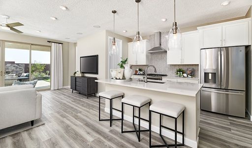 Seasons at Entrada Del Oro by Richmond American Homes in Gold Canyon - photo 53 53