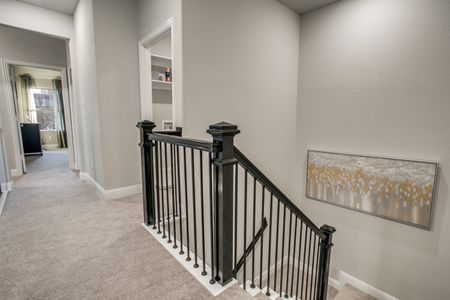 Villas of Middleton by Megatel Homes in Plano - photo 30