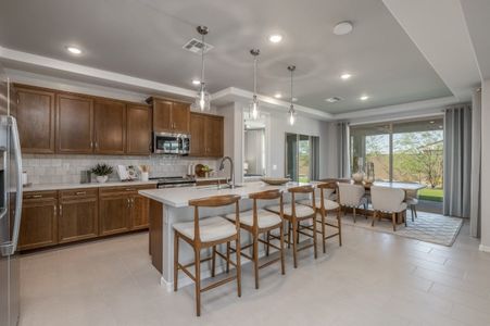 The Grove at El Cidro by William Ryan Homes in Goodyear - photo 96 96