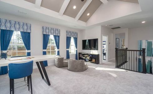 Mostyn Manor Reserve by Brightland Homes in Magnolia - photo 24 24