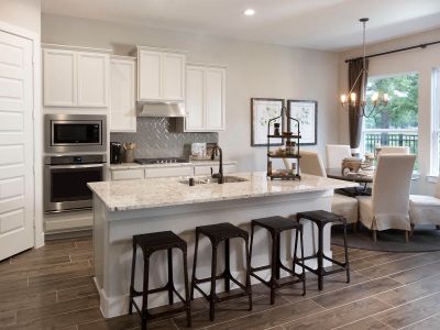 Spring Brook Village - Patio Home Collection by Meritage Homes in Houston - photo 13 13