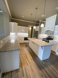 LakePointe by Christie Homes in Lavon - photo 9 9