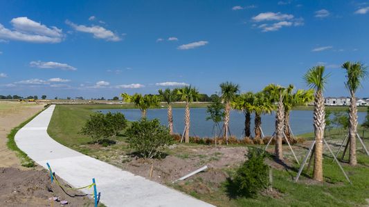 Harmony at Lake Eloise by Casa Fresca Homes in Winter Haven - photo 11 11