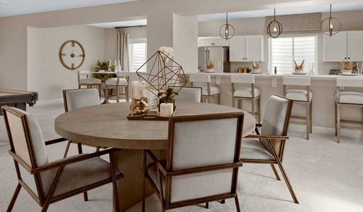 Oak Ridge at Crystal Valley by Richmond American Homes in Castle Rock - photo 20 20