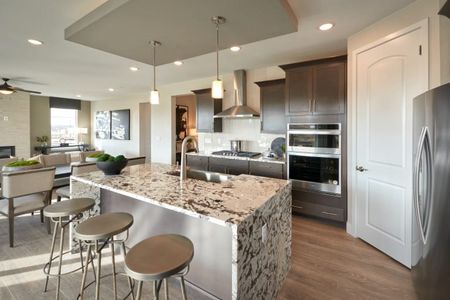 Sterling Ranch Apex Collection by Pulte Homes in Littleton - photo 24