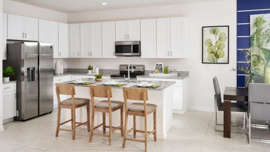 Leela Reserve by Park Square Residential in Tavares - photo 9 9