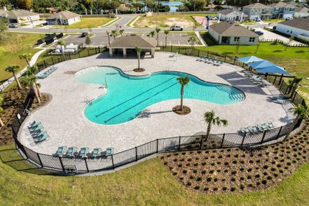 Hammock Reserve by Dream Finders Homes in Haines City - photo 1 1