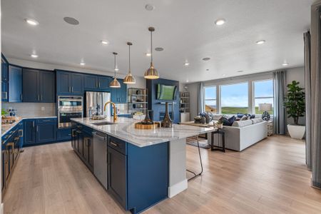 Trailstone Destination Collection by Taylor Morrison in Arvada - photo 98 98