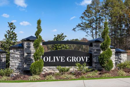 Olive Grove Townhomes by KB Home in Durham - photo 0 0