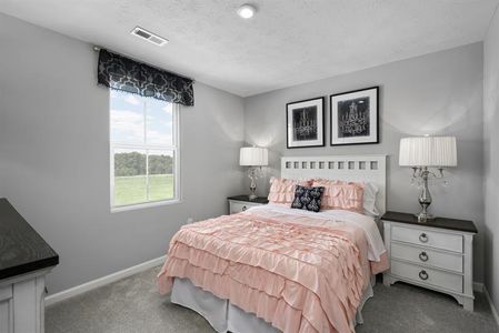 Cavastead Single Family Homes by Ryan Homes in Raleigh - photo 13