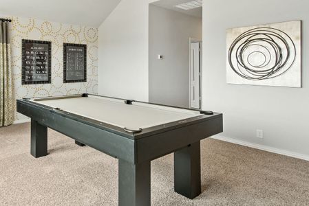 Wildflower Ranch by Bloomfield Homes in Fort Worth - photo 8