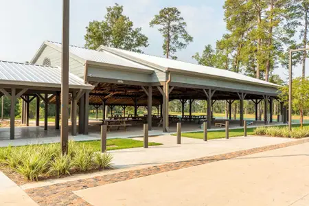 Grand Central Park: 40ft. lots by Highland Homes in Conroe - photo
