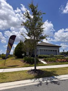 Reunion Village by LGI Homes in Kissimmee - photo 2 2
