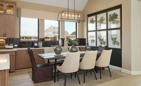 Edgewater by Brightland Homes in Webster - photo 17 17