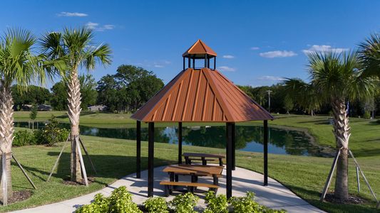 Harmony at Lake Eloise by Casa Fresca Homes in Winter Haven - photo 21 21