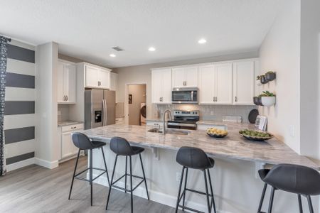 Palms at Windermere by Dream Finders Homes in Windermere - photo 10 10
